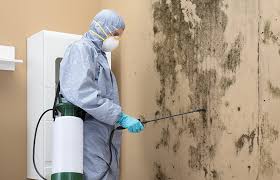 Mold removal