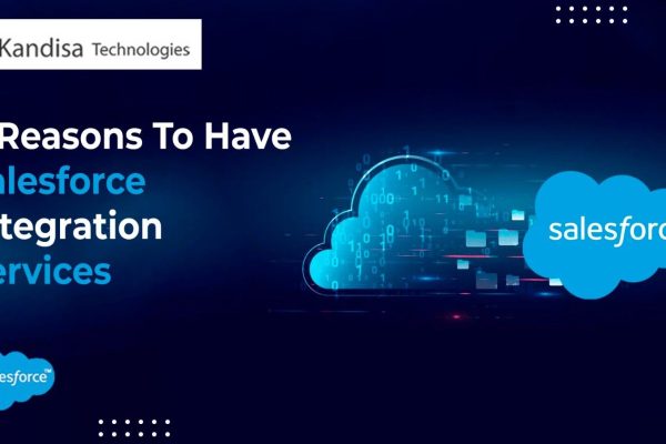 1750757896 Reasons To Have Salesforce Integration Services 5 (1)