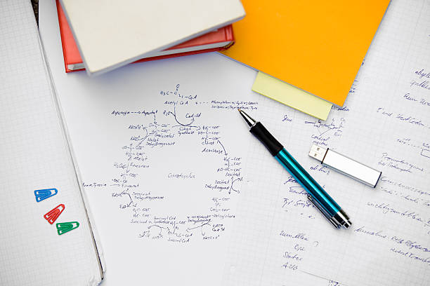 Creating Argument Maps to Strengthen Essay Writing