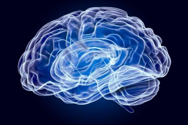 Neurotechnology