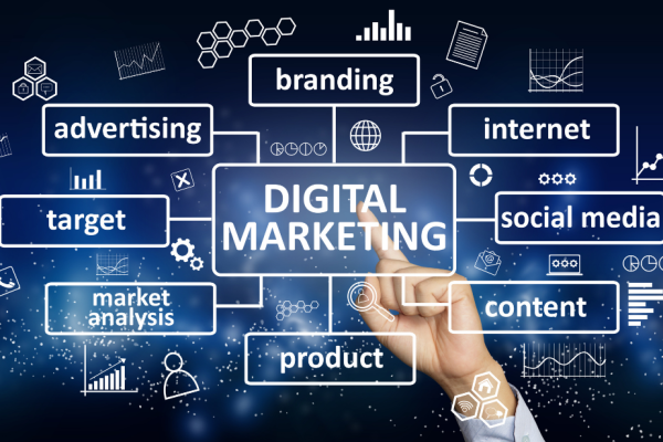 Digital Marketing Agency in Faridabad