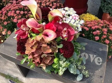 bloomen.ca
