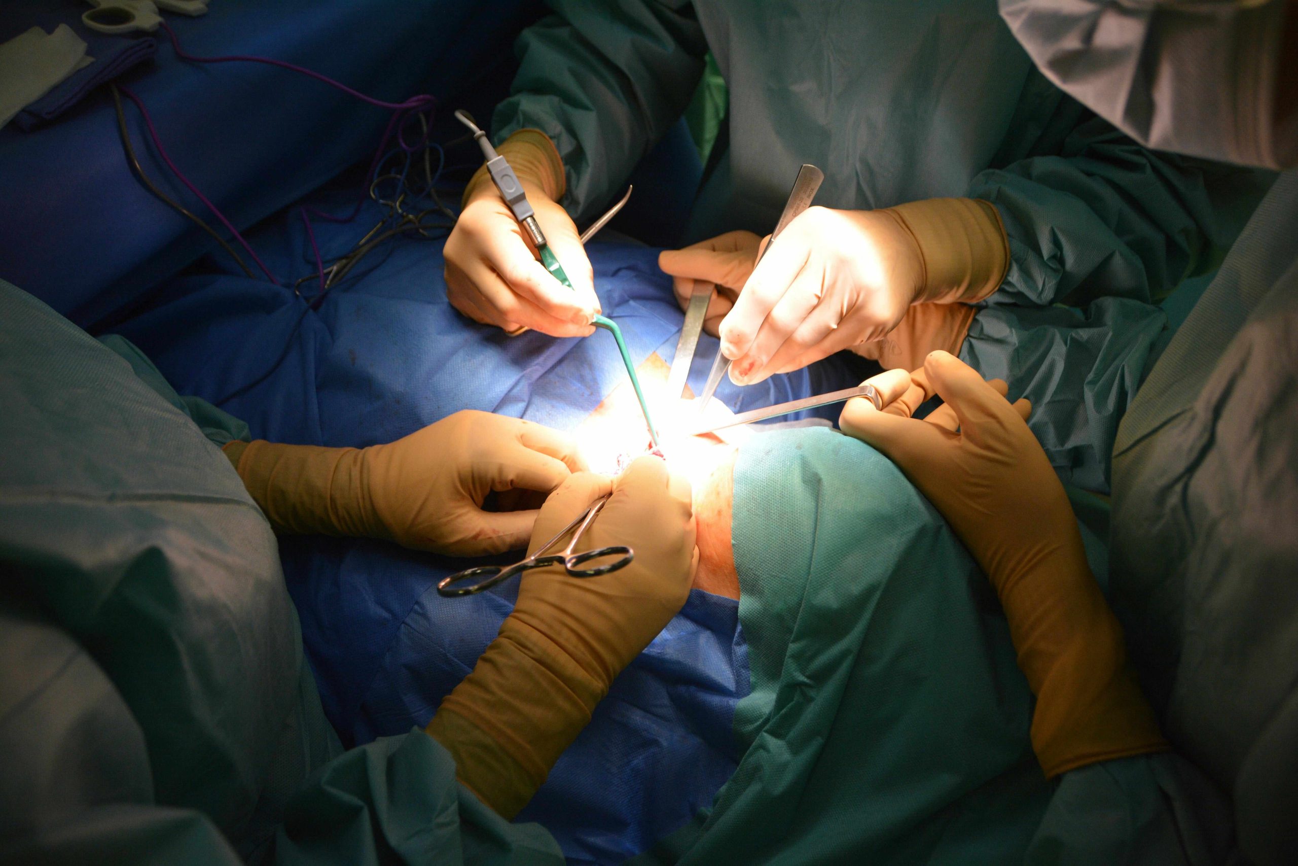 cosmetic surgery (1)