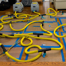 images (1)