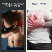 muscle related chest pain vs heart pain
