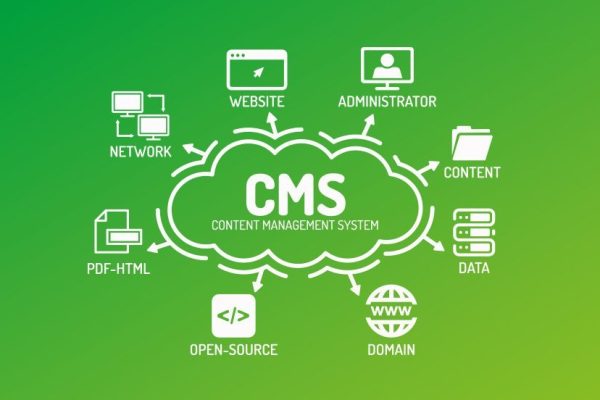 welchesFuture-Proof Your Site with Smart CMS website development-cms-2018
