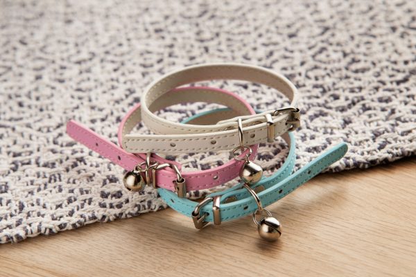 leather collar