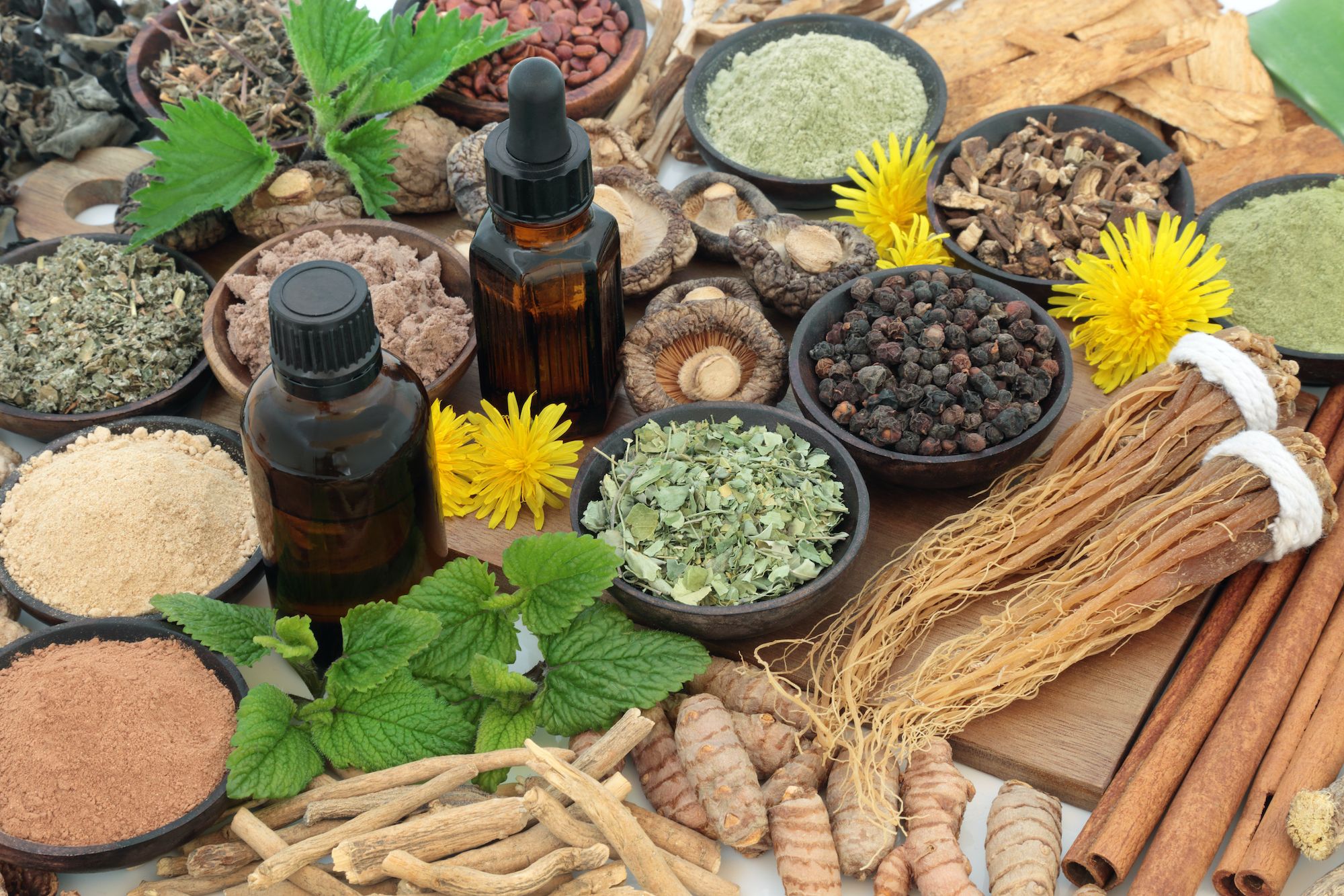 An-image-showing-a-selection-of-herbs-commonly-used-for-treating-erectile-dysfunction--including-the-herbs-for-erectile-dysfunction-such-as-ginseng--horny-goat-weed--and-maca-root.