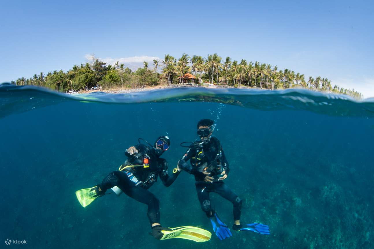BalisUnderwaterWonders_DiscoverScubaDivingwithPADI5_Center