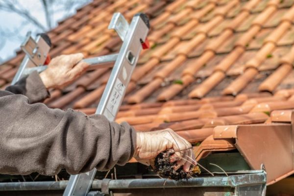 Expert Gutter Cleaning in Chadstone Specialized Services with Professional Equipment
