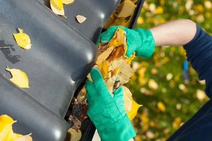 Gutter Cleaning Altona Meadows