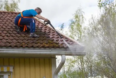 Gutter Cleaning Deer Park