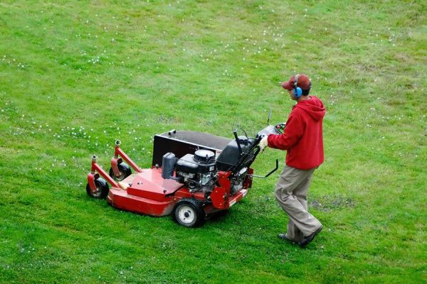 Lawn Mowing 3