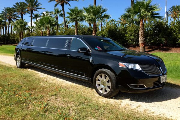 Limo 4
