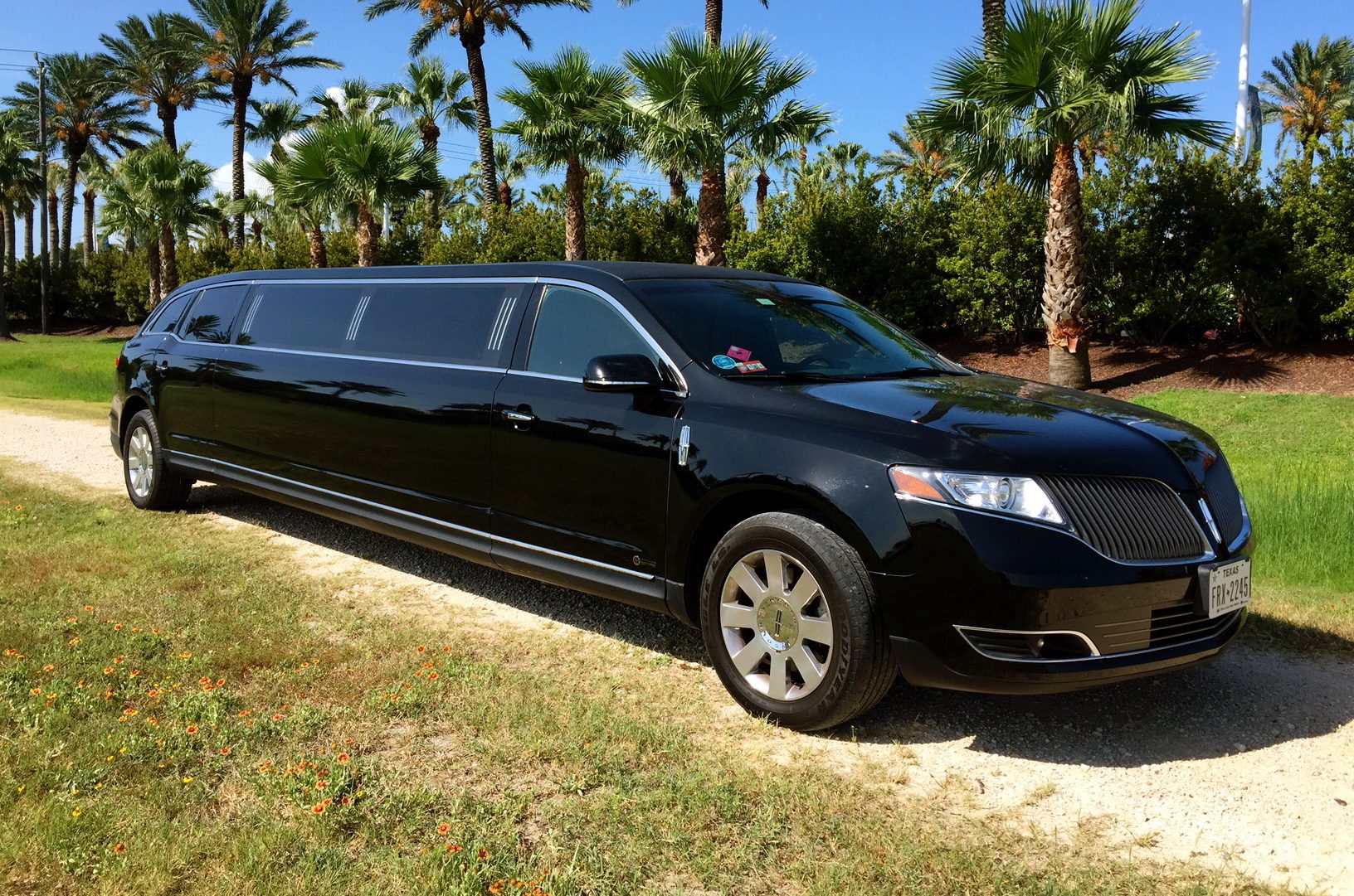 Limo 4