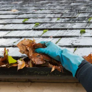 Gutter Cleaning Moorabbin