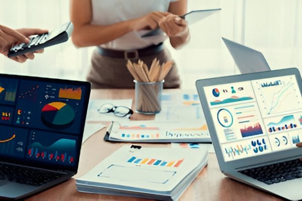 Software Development and Consulting Services