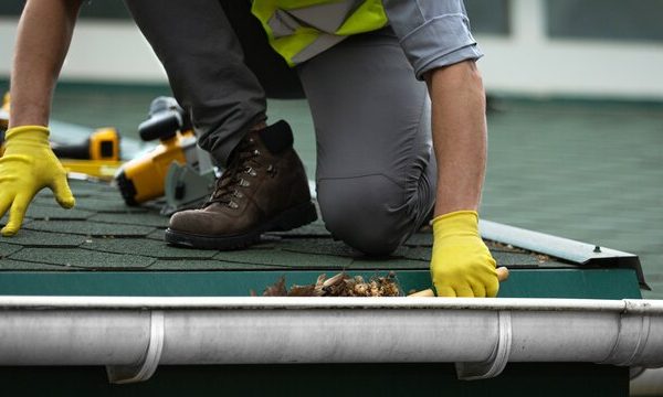 gutter cleaning Mannerim