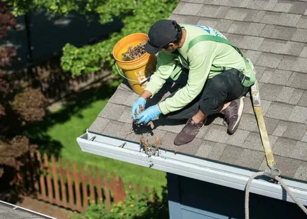Gutter Cleaning  in Pascoe Vale