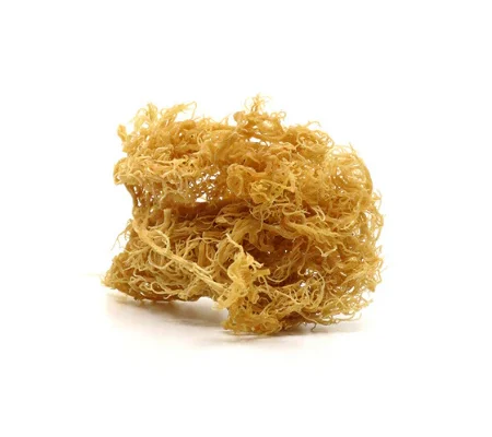 raw sea moss